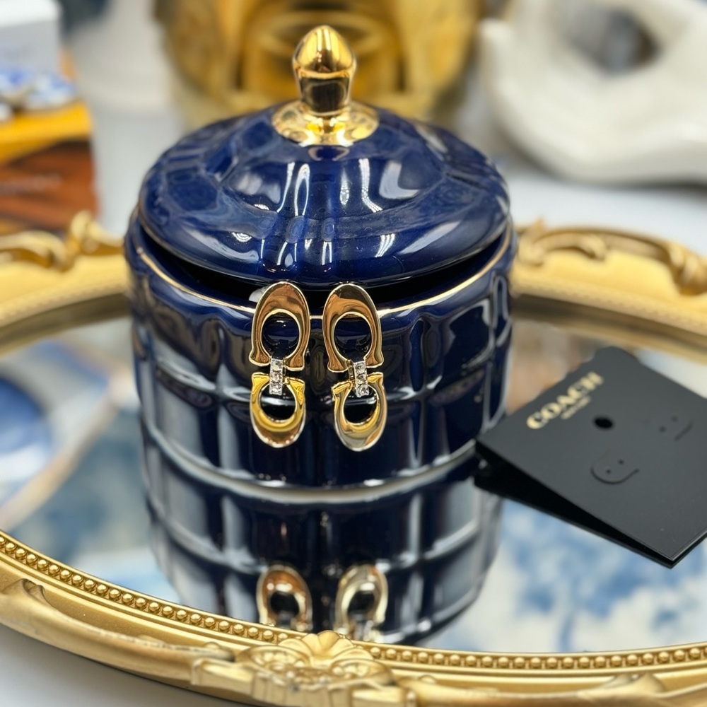 🆕 COACH 🧿 NWT Double Logo Two-Toned Chunky Bejewelled Link Earring - Picture 7 of 15